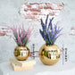 Ball Flower vase Gold set of 2 