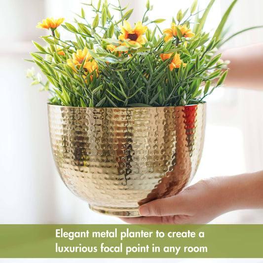 Metal Hammered Bowl Planter - Gold