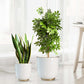 Floor Planters, White, Set of 2