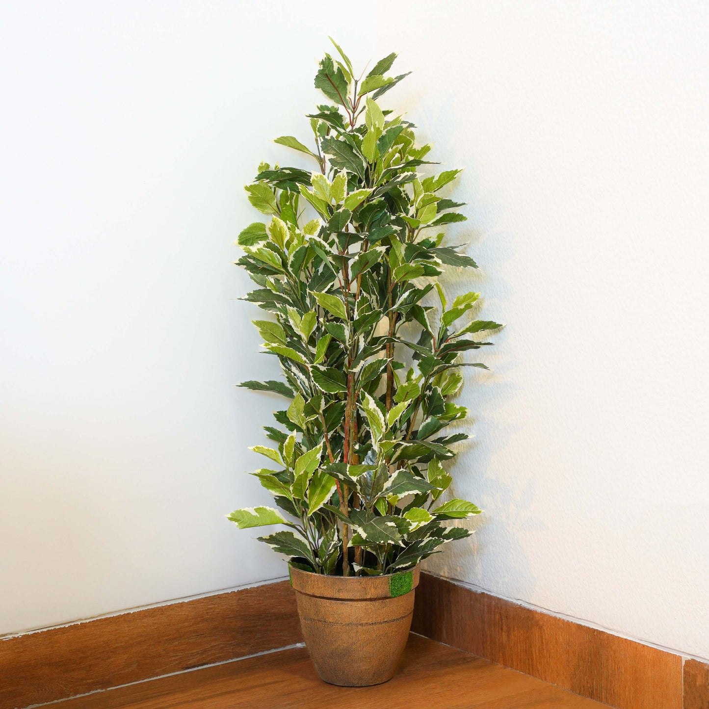 Ficus Harmony, Artificial Plant