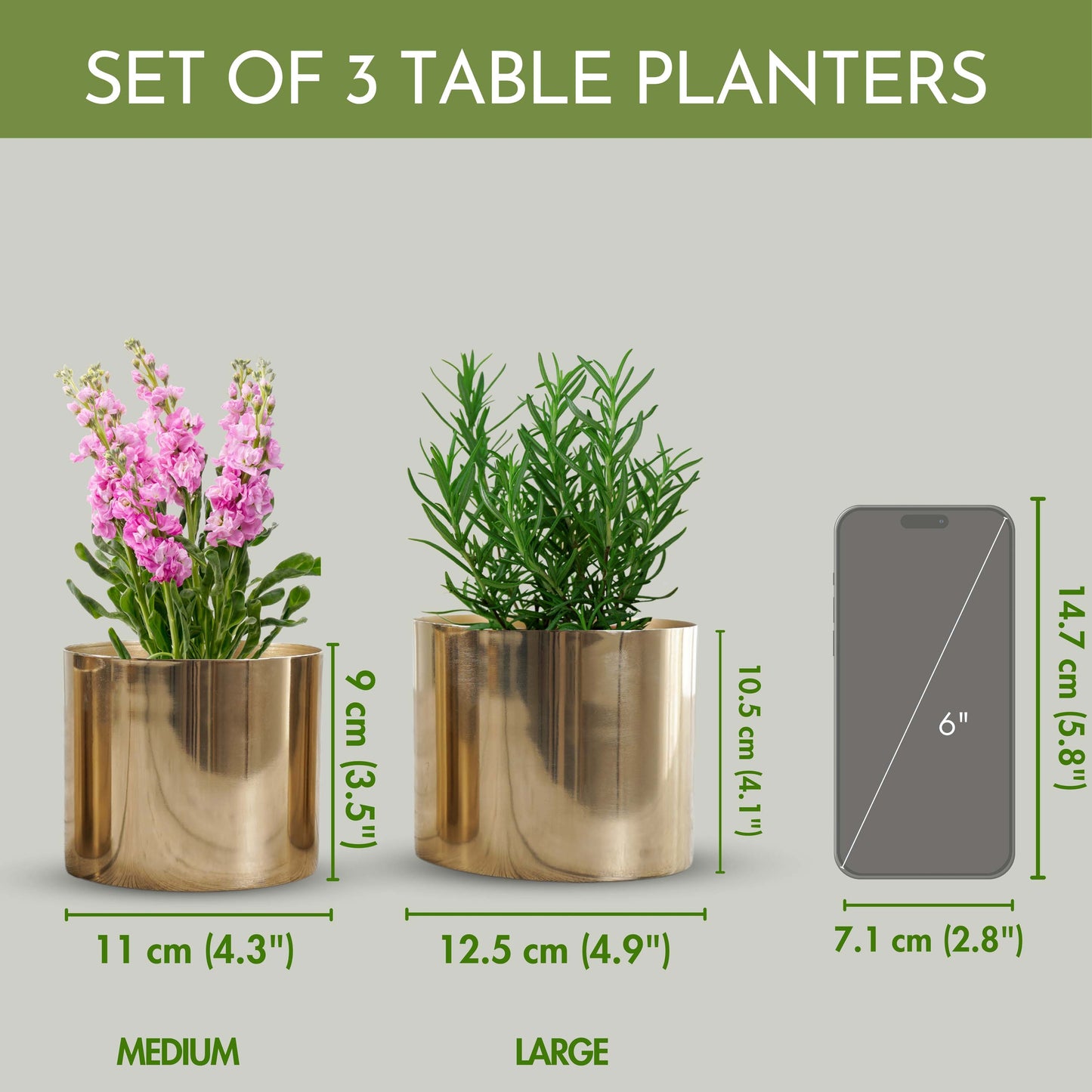 Mini Table Top Planter set of 2
