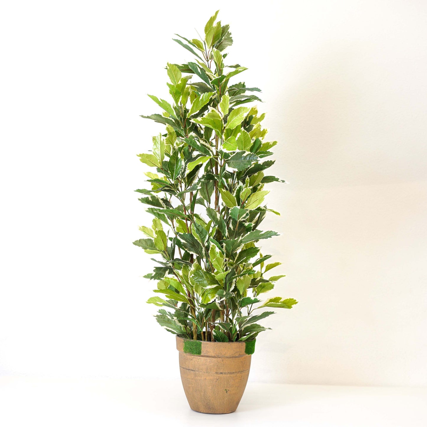 Ficus Harmony, Artificial Plant