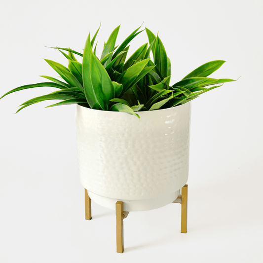 Metal Hammered White Planter small