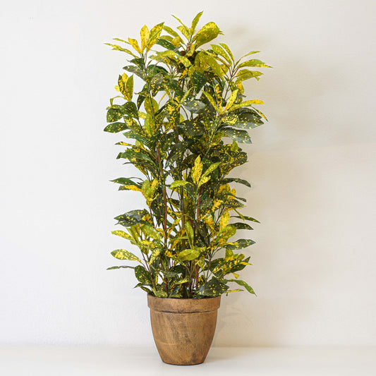 Yellow croton, Artificial Plant