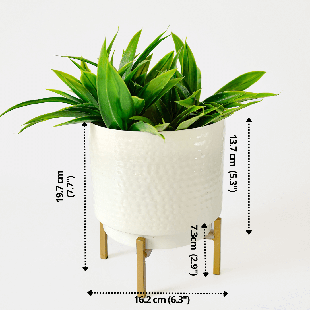 Metal Hammered White Planter Small