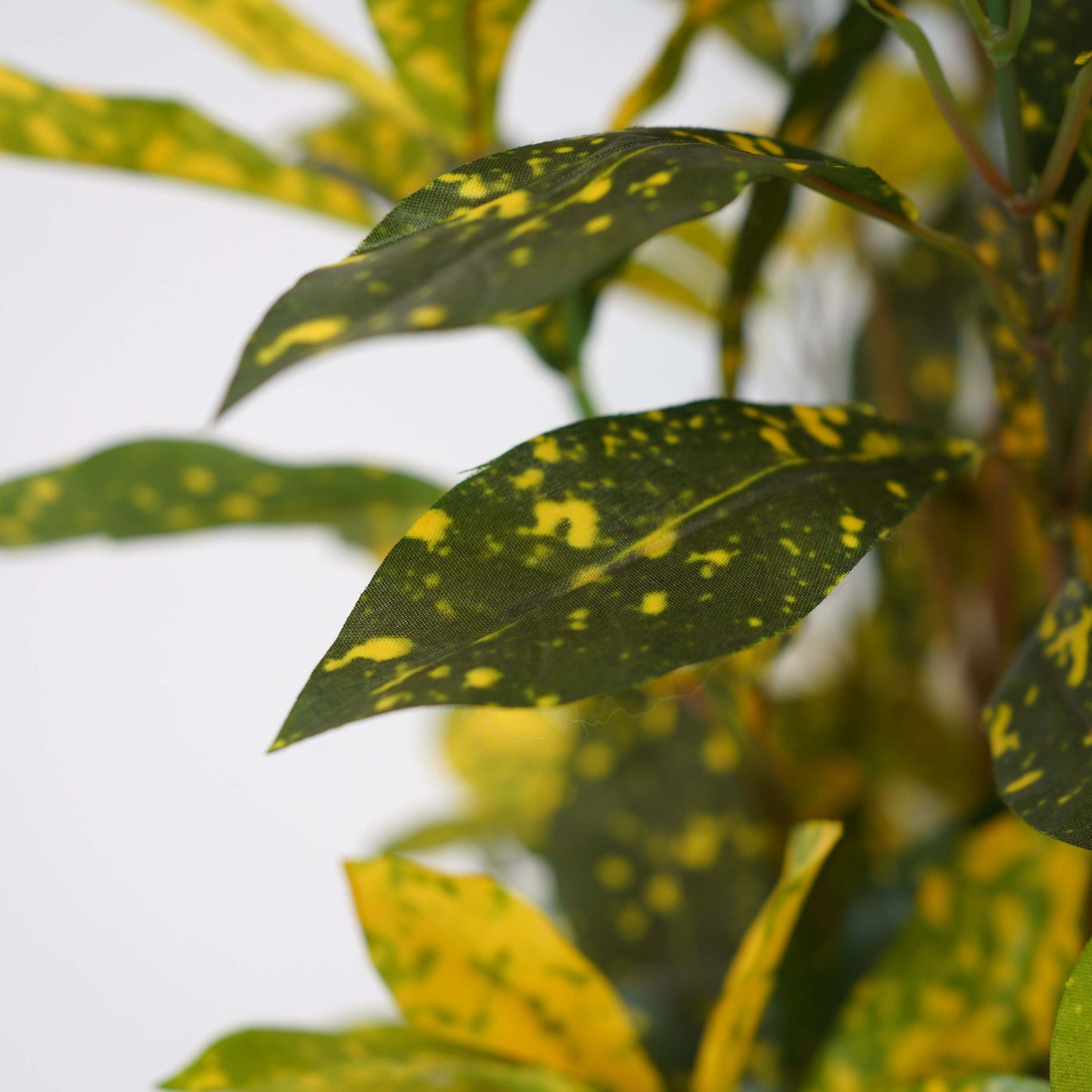 Yellow croton, Artificial Plant