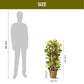 Yellow croton, Artificial Plant