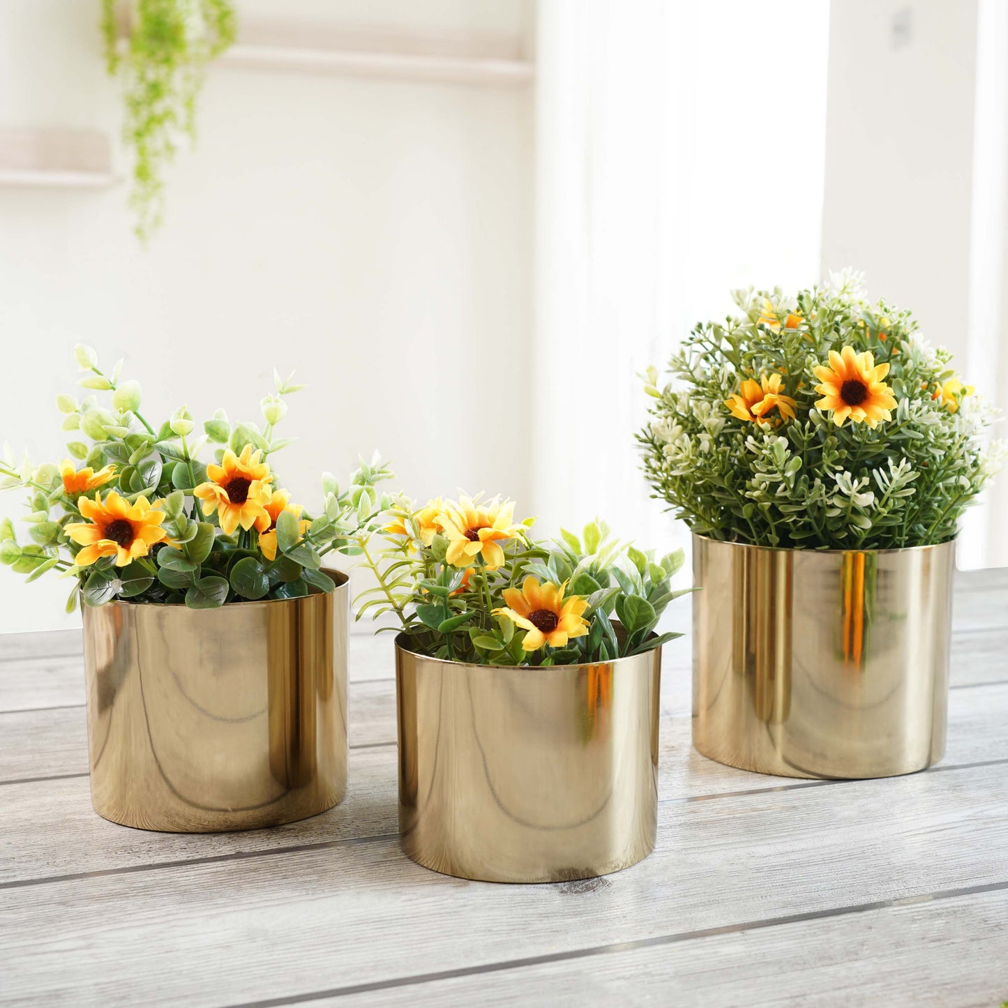 Mini Table Top Planter set of 3 