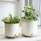 Metal Hammered Gold Rim Leaf leg Planter, White, Set of 2- 6''X 7''