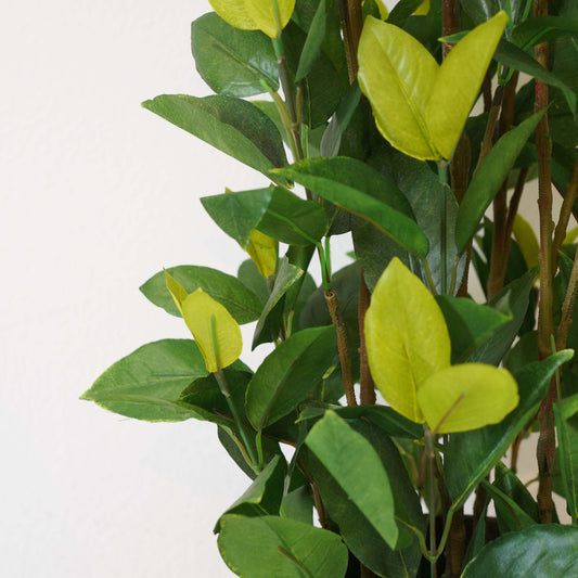 Lemon tree, Artificial Plant