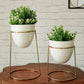 White Metal Planter with round stand 