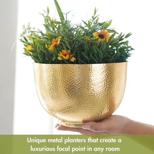 Elegant Hammered Bowl Planter