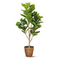 Fiddle Leaf Elegance, Artificial Plant