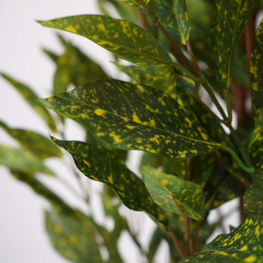 Green croton, Artificial Plant