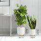 Floor Planters, White, Set of 2