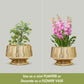 Pedestal Fluted Planter, Gold