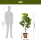 Fiddle Leaf Elegance, Artificial Plant