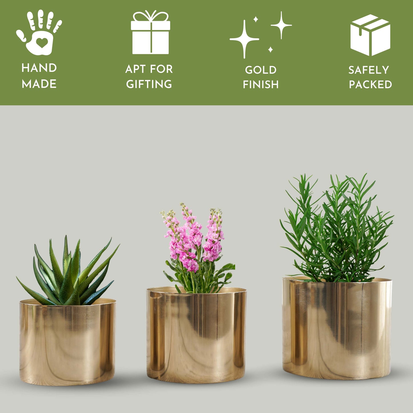 Mini Table Top Planter set of 3 