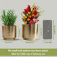 housewarming plants holders set of 2 