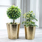 Bucket Planters, Hammered, Gold (Set of 2)