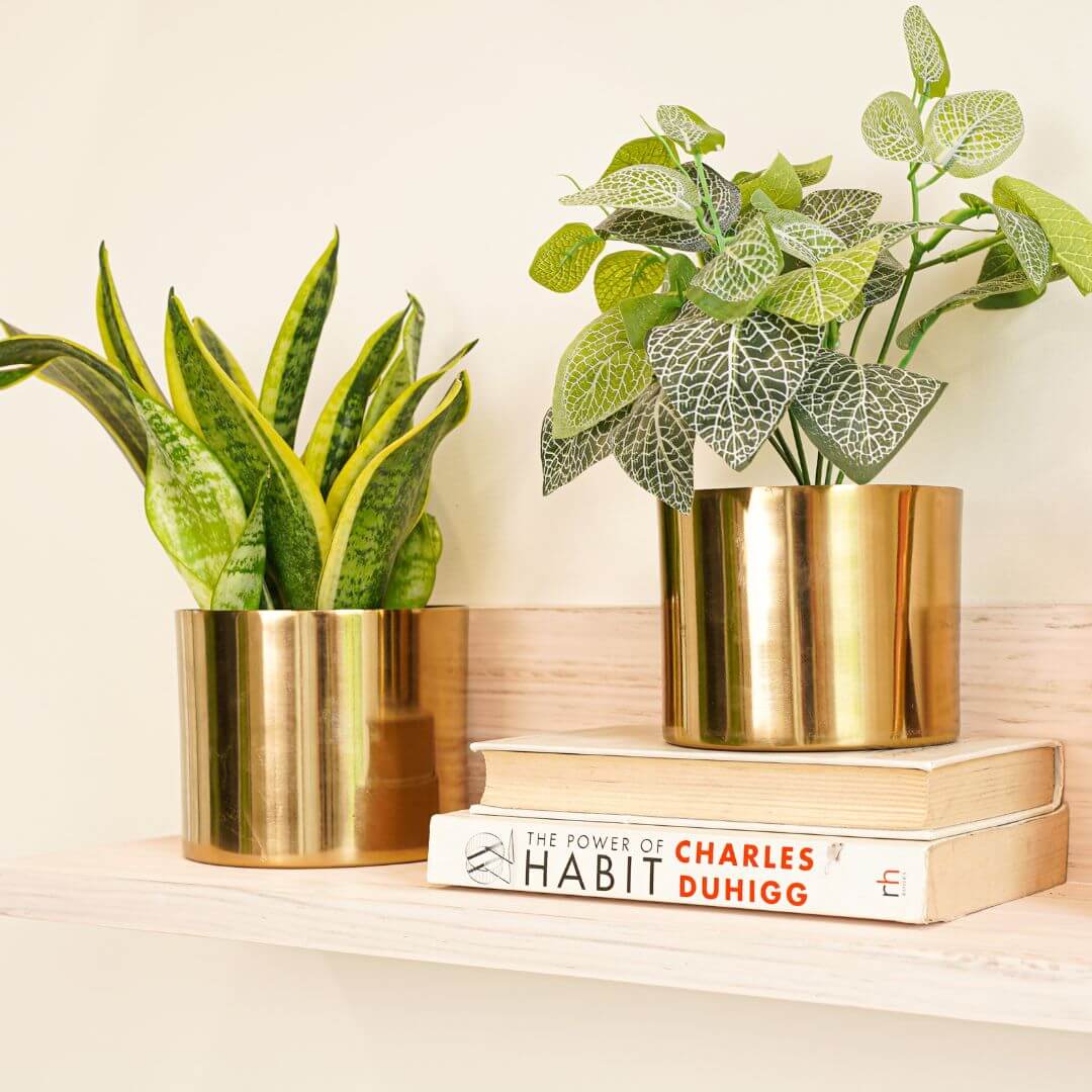 Mini Table Top Planter set of 2