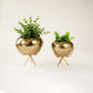 Mini Hammered metal Planter pots, Set of 2 