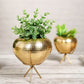 Behoma Mini Hammered Planter, Golden, 5.5'' - Behoma