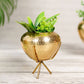 Behoma Mini Hammered Planter, Golden, 6.2'' - Behoma