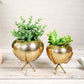 Behoma Mini Hammered Planter, Golden, 6.2'' - Behoma