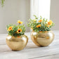 Behoma Mini Hammered Planter, Golden, Set - 3.7'' & 3.2'' - Behoma