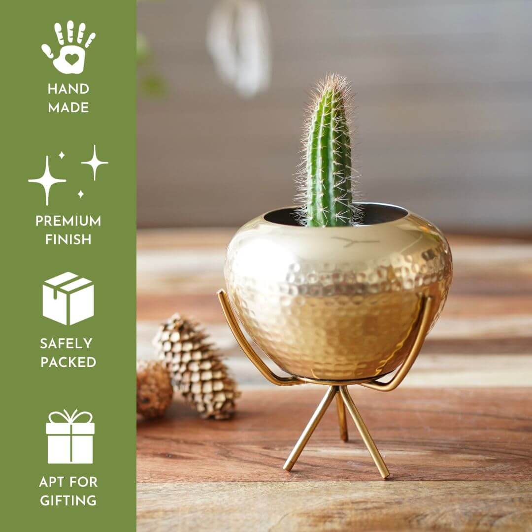 Behoma Mini Hammered Planter, Golden, Set - 6.2'' & 5.5'' - Behoma