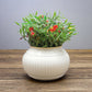 Behoma White Matki Metal Planter, 4.7"x 6.7" - Behoma