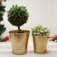 Bucket Planters, Hammered, Gold (Set of 2) - Behoma