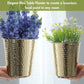 Bucket Planters, Hammered, Gold (Set of 2) - Behoma