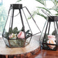 Drop Lantern, Nickel Black - 7.2''X 6.5'' - Behoma