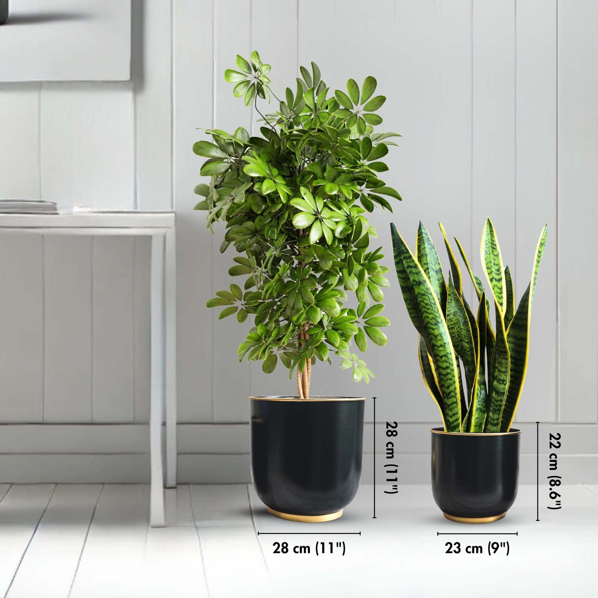 Floor Metal Planter, Set - Behoma