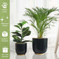 Floor Planters, Black, Set of 2 - Behoma