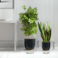 Floor Planters, Black, Set of 2 - Behoma