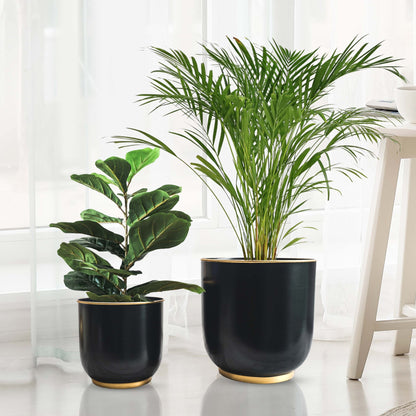 Floor Planters, Black, Set of 2 - Behoma