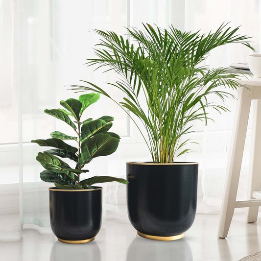 Floor Planters, Black, Set of 2 - Behoma