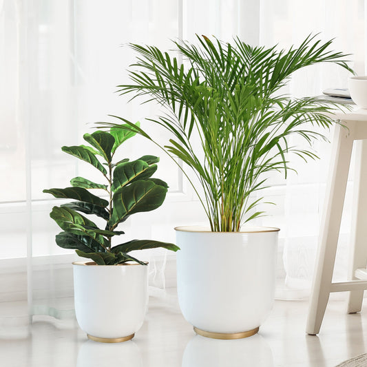 Floor Planters, White, Set of 2 - Behoma