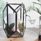 Geometric Lantern, Nickel Black - 8.6''X 6.1'' - Behoma