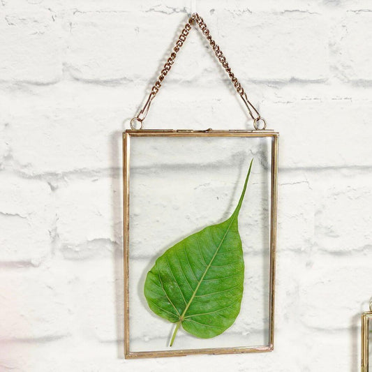 Glass & Brass Hanging Frame (5x7) - Behoma