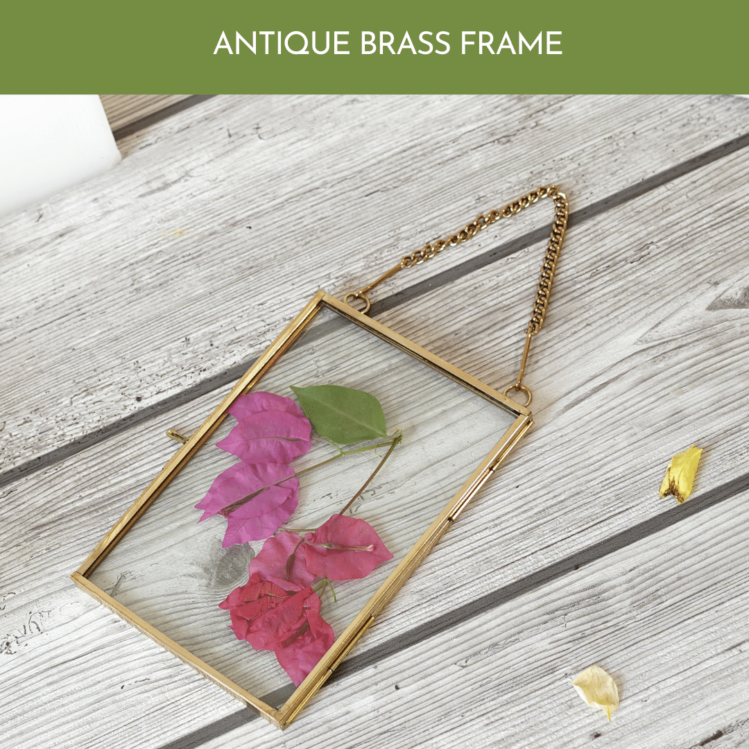 Glass & Brass Hanging Frame (8x8) - Behoma