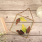 Glass & Brass Hanging Frame (8x8) - Behoma