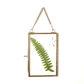 Glass & Brass Hanging Frame (8x8) - Behoma