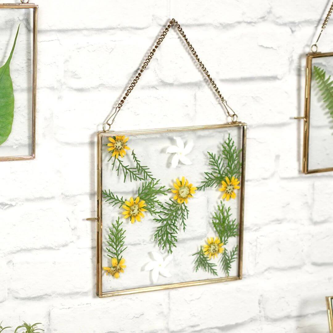 Glass & Brass Hanging Frame (8x8) - Behoma