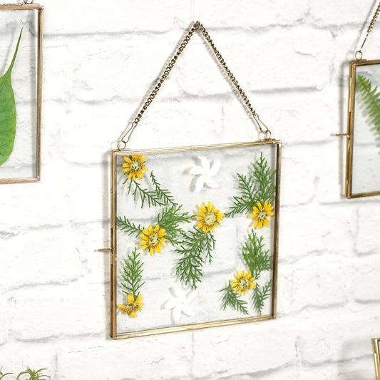 Glass & Brass Hanging Frame (8x8) - Behoma