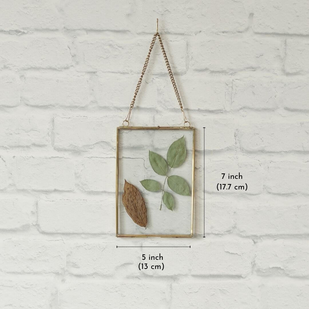 Glass & Brass Hanging Frame (8x8) - Behoma