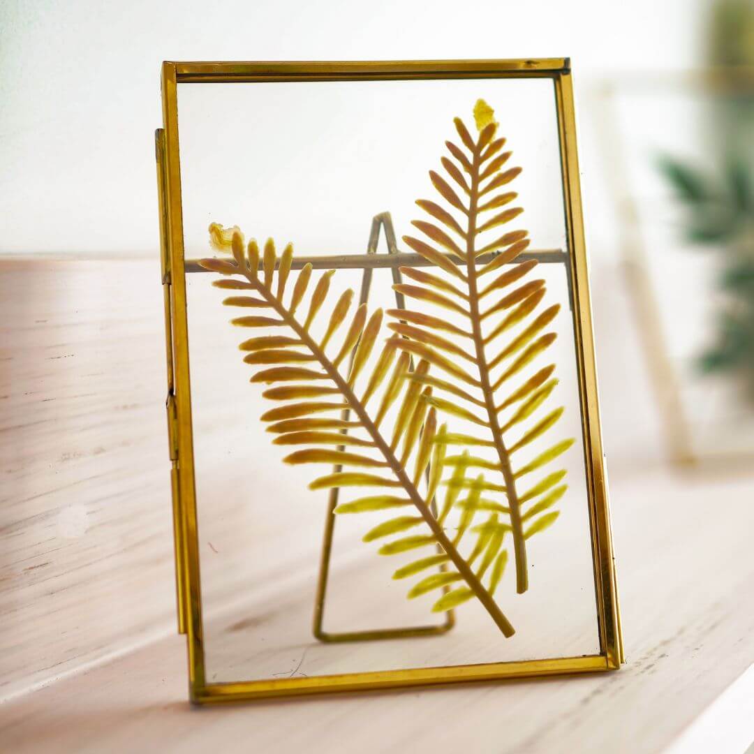 Glass Table - top Frame (4x6) - Behoma